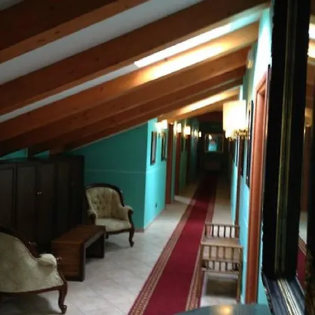 Hotel Lion 3*