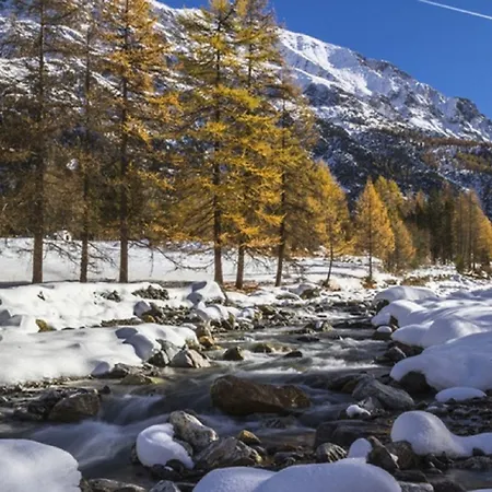 Lion فندق Roure Turin