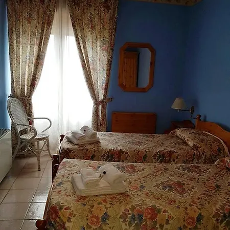 Hotel Lion