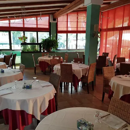 Hotel Lion