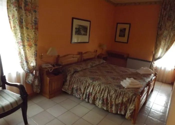 Lion Otel