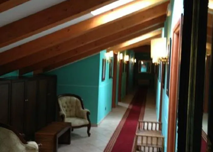 Otel Lion 3*