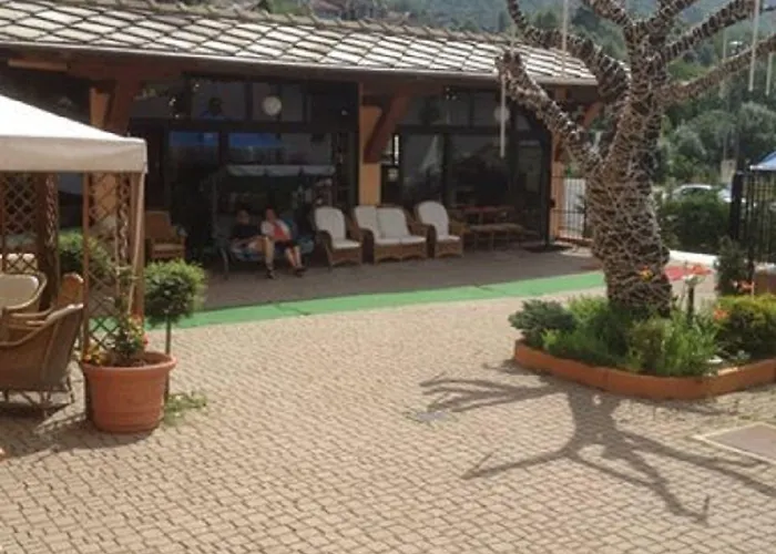 Lion Otel
