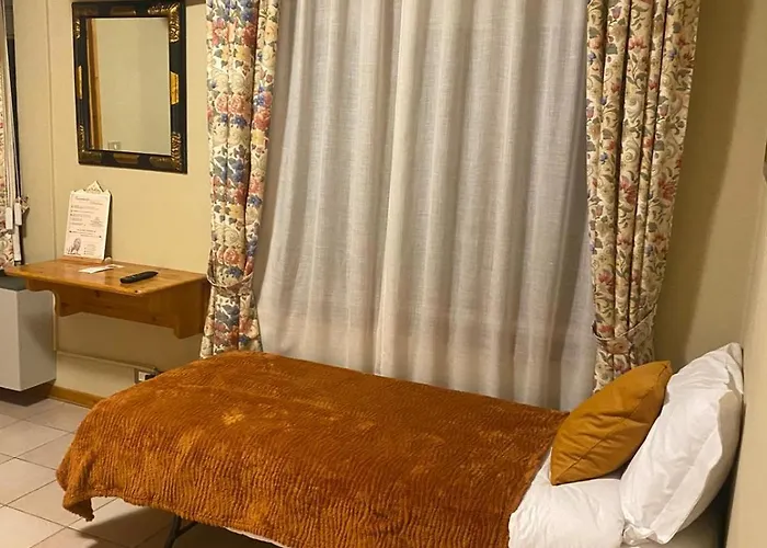 Hotel Lion