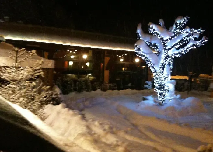 Lion Hotel 3*