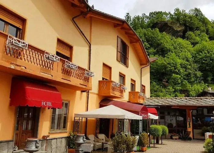 Lion 3*