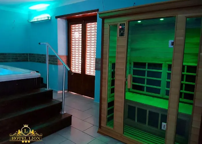 Lion Otel 3*